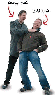 bulls.gif 189x323